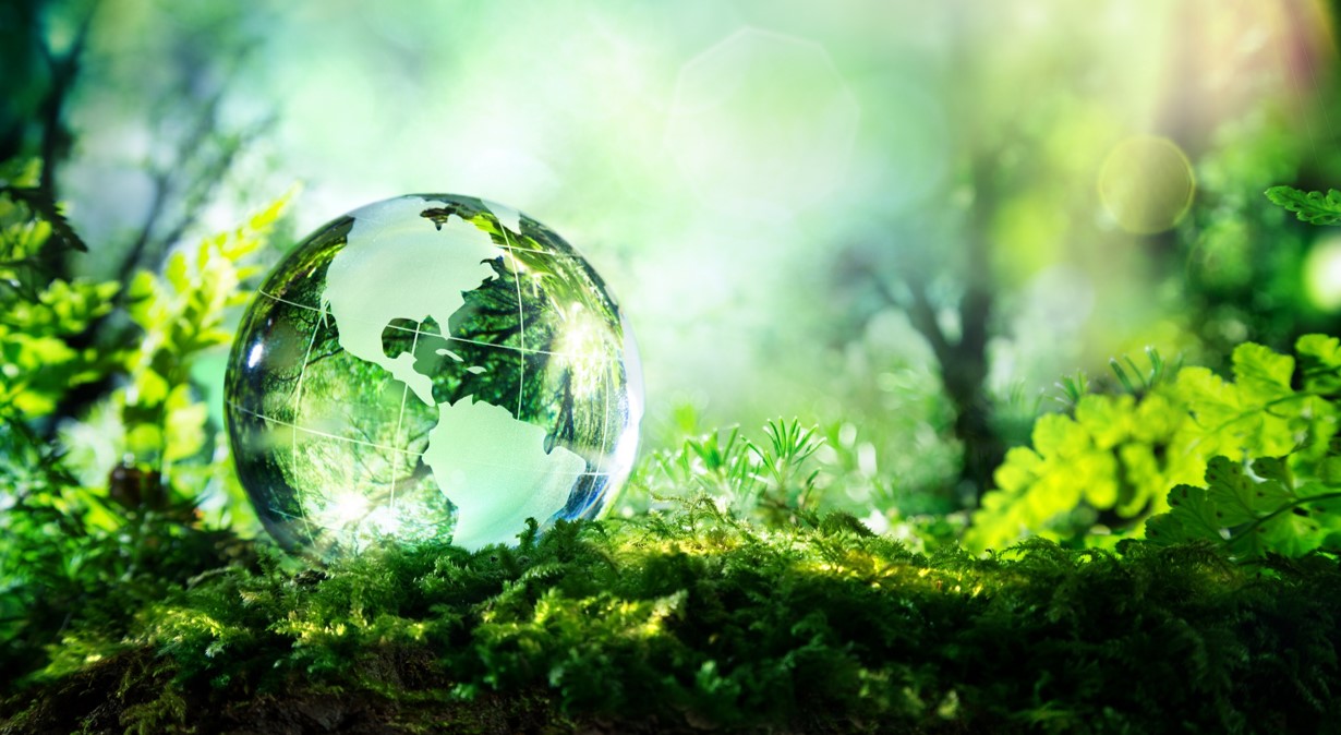 Konicaminolta_carbon_neutrality_program stampanti a basso impatto energetico